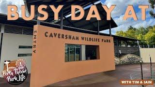 Busy Day at Caversham Wildlife Park