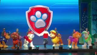 Paw Patrol Live! The Great Pirate Adventure