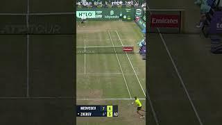 Alexander Zverev With 'One Of The Points Of The Year!" 