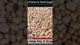 Gk Agro News || Agra Potato Suppliers #potato #viralvideo #farmers #vegetables