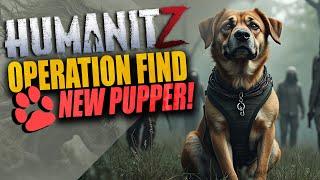 HumanitZ Survival Gameplay Finding a NEW DOG - Zombie Survival