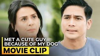 Met a cute guy because of my dog | Meet-Cute Moments: 'Love Me Tomorrow’ | #MovieClip