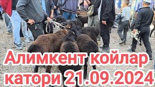 тошкент вил Алимкент мол бозори койлар катори 21.09.2024