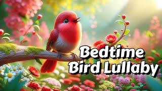 Want Peaceful Sleep? Listen to 1 Hour of Beautiful Birds now