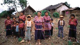 Protecting the rights and well-being of indigenous peoples