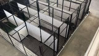 Back to Back Kennel Systems by k9 kennel store