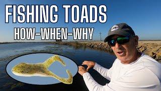 Fishing Toads. How-When-Why.