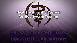 Heat Treatment for Heartworm Testing