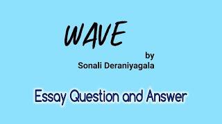 Wave by Sonali Deraniyagala | Essay Question and Answer | Prose | O/L English Literature