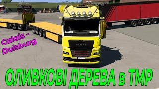 Оливкові дерева на НСТ в TruckersMP || Olive trees on double trailer TMP || Euro truck simulator 2