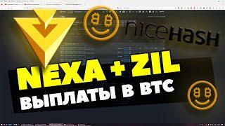 НАСТРОЙКА МАЙНИНГА NEXA+ZIL С ВЫПЛАТАМИ В BTC | NICEHASH | ПОЛНАЯ ИНСТРУКЦИЯ ПОД HIVEOS |