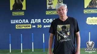 Отзыв о дрессировке | Лабрадор Джера Полный курс | Школа для собак DRED | Дрессировка собак Украина
