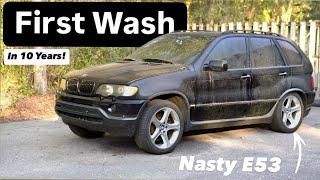 First Wash in 10 Years! Nasty Rejuvenation Detail on this E53 BMW X5  | Full Detail  |  4K