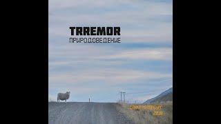 09 - the Trremor - Басмачи (2018)