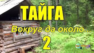 ТАЙГA | Вокруг да около 2 из 2