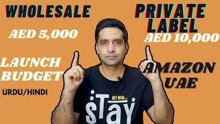 Amazon UAE FBA Wholesale Vs Private Label 2021| Launch Budget