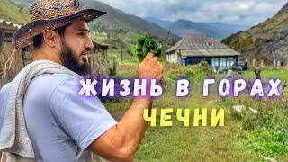 Жизнь в горах Чечни и в Городе. В чем отличие?