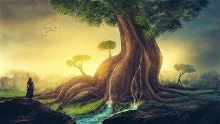 Celtic Fantasy Music - Dryads & Treefolk