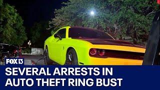 Multiple arrests in suspected auto theft ring