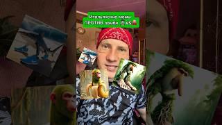 Итальянские мемы зомби часть 5 #shorst #итальянскиемемы