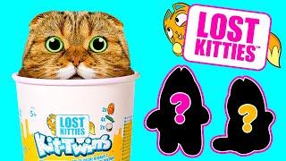 Where are The Lost Kitties? || Unboxing the Cutest Cats on the Internet 