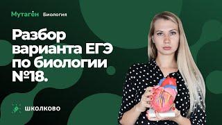 ЕГЭ 2023 по биологии. Разбор варианта № 18