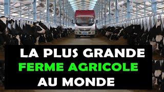 AGRICULTURE: Voici comment la plus grande ferme agricole au monde est incroyable [MEGA FERME]