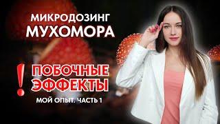 К ЭТОМУ НАДО БЫТЬ ГОТОВЫМ! побочные эффекты от мухомора. ЧАСТЬ 1. Микродозинг