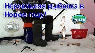 Нереальная рыбалка в Новом году! Рыбалка на севере Стофети и компания 2018