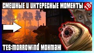 СМЕШНЫЕ И ИНТЕРЕСНЫЕ МОМЕНТЫ/МОНТАЖИК - TES: Morrowind