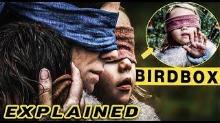 Netflix Birdbox Movie Explained in Hindi | Before You Watch