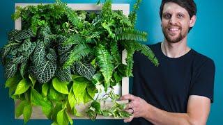 Easy DIY Living Plant Wall that Waters Itself