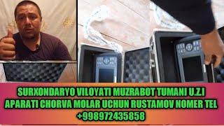 SURXONDARYO VILOYATI MUZRABOT TUMANI U.Z.I APARATI CHORVA MOLAR UCHUN RUSTAMOV NOMER TEL #972435858