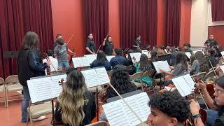 Los camperos Violin workshop, las olas