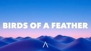 Billie Eilish - BIRDS OF A FEATHER (Lyrics)