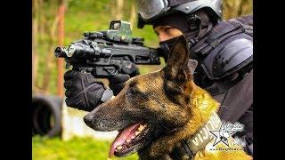 K9 Swat Action video - K9 Training Slovakia