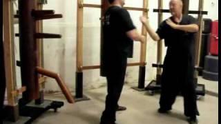 Master Jerry Cook Chinese Boxing 18 set Budda Palm / Wing Chun form14