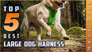 Top 5 Best Large Dog Harness Review in 2023 | For Your Four-Legged Friend