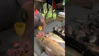 Golden Carp Fish Skin Removing So Fast