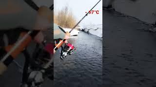 Воскресный выход #daiwa #рыбалка #рыбнаяловля #youtube #cf #spinning #trout #рыбалка  #crazyfish