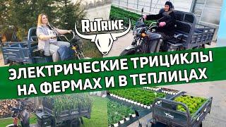 Электрические трициклы Rutrike в агрохолдингах, на фермах и в теплицах. Преимущества использования.