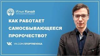 Как работает самосбывающееся пророчество при тревоге и панике / Илья Качай