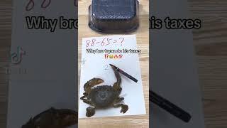  #Crabs #Tiktok #roblox #blowthisup