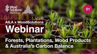 Forests, Plantations, Wood Products & Australia’s Carbon Balance (AILA x WoodSolutions Webinar 1)