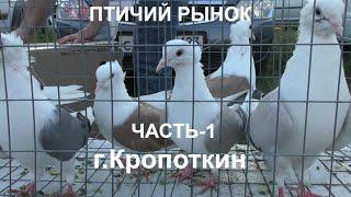 08/30/2020. Bird Market, Kropotkin, part 1.