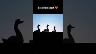 ️ The video which satisfied me️#viral #dance #melody #asmr#satisfying ️