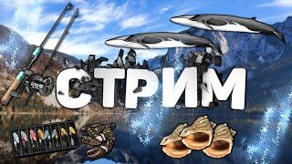 Стрим рр3.99 половим китов,осю,рапу!