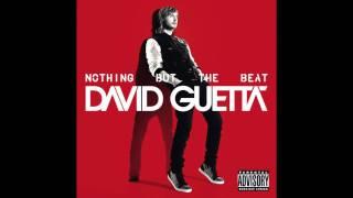 David Guetta - Without You (Audio)