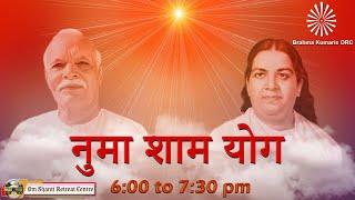 Live : नुमाशाम योग  Evening Meditation Daily from Om Shanti Retreat Centre,Delhi- NCR 21-06-2025