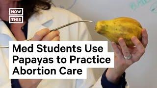 How Papayas Help Med Students Learn About Abortion